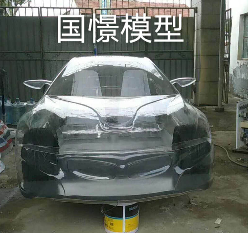 盂县透明车模型