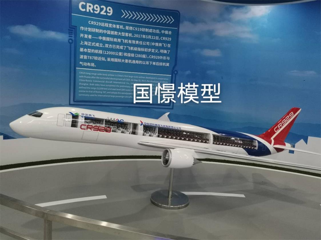 盂县飞机模型